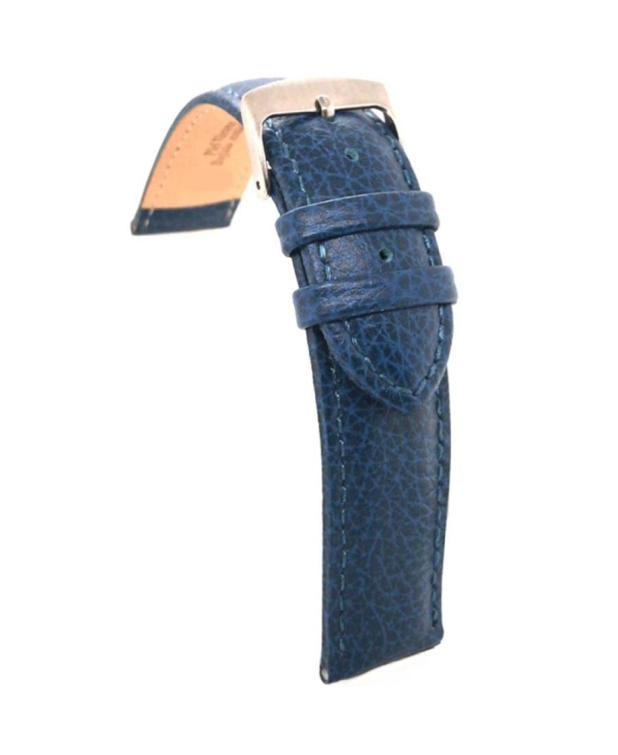 Watch Strap Diloy 131.05.20 Blue Mėlyna 20 mm