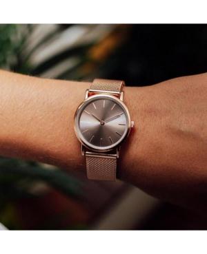 Moteriškas Modernus (fashion) Kvarcinis Rodyklinis Watch MILLNER 8425402504857 Silver color Dial 28mm image 1