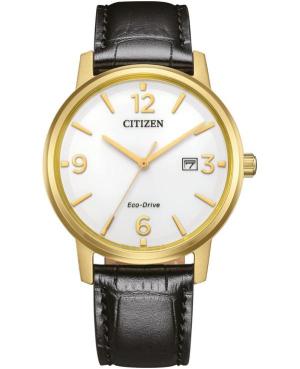 Vyriškas Klasikinis Japoniškas Elektroninis, Solar Rodyklinis Watch CITIZEN BM6756-01A Balta Dial 40mm