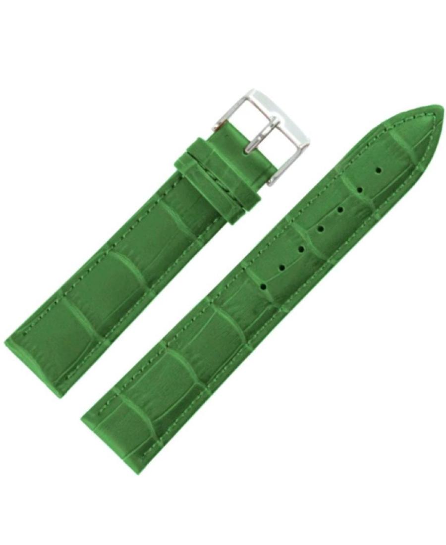 ACTIVE ACT.1306.11.20.W Кожа Зелёный 20 мм