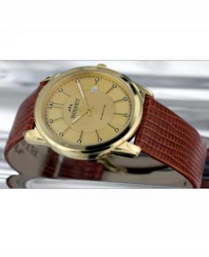 Mężczyźni klasyczny Szwajcar kwarcowy analogowe Zegarek BISSET BSCC98GIGX03B1 Żółty Dial 43mm