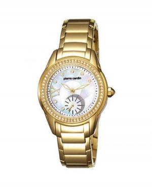 Kobiety klasyczny kwarcowy Zegarek PIERRE CARDIN PC104262F05 Matka Perłowa Dial 33mm