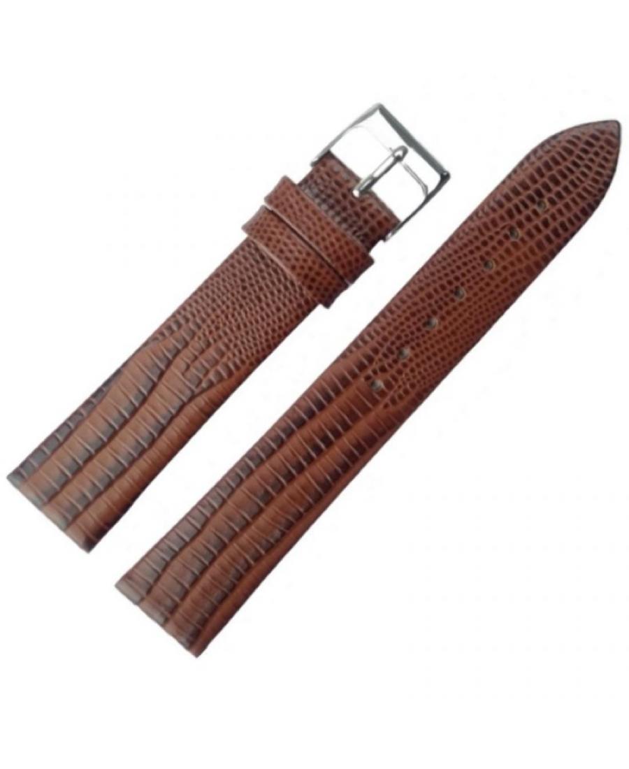 Watch Strap ACTIVE ACT.1348.02.18.W Brown 18 mm